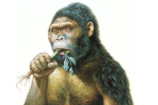 网络配图 网络配图