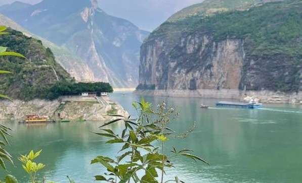 网络图片(侵删) 网络图片(侵删)