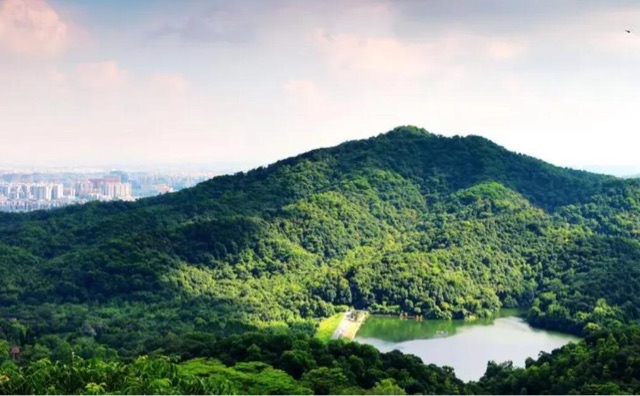 网络图片(侵删) 网络图片(侵删)