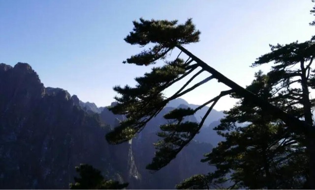 网络图片(侵删) 网络图片(侵删)