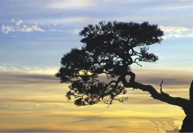 网络图片(侵删) 网络图片(侵删)