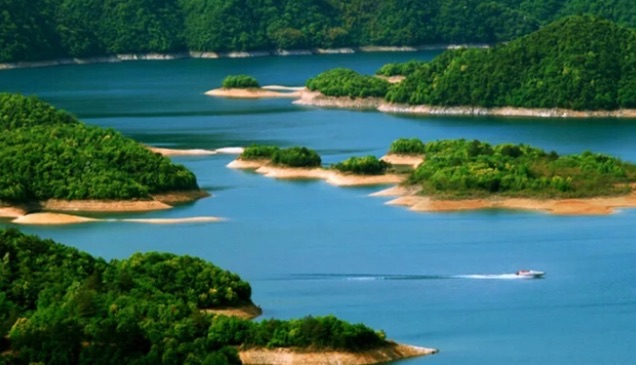 网络图片(侵删) 网络图片(侵删)