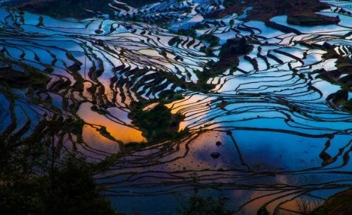 网络图片(侵删) 网络图片(侵删)