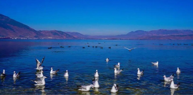 网络图片(侵删) 网络图片(侵删)