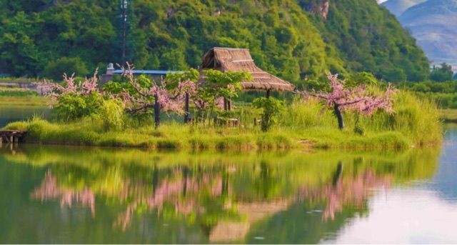 网络图片(侵删) 网络图片(侵删)