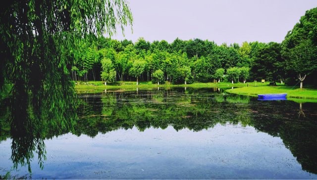 网络图片(侵删) 网络图片(侵删)