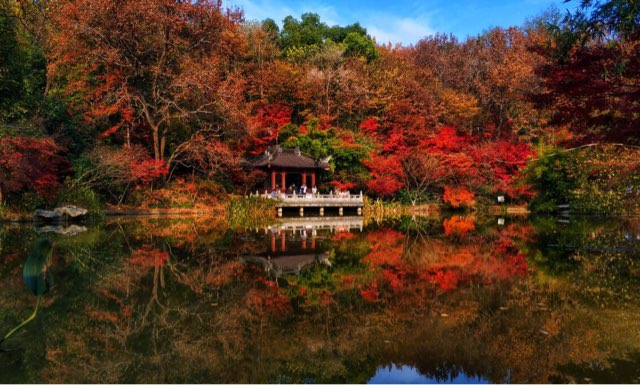 网络图片(侵删) 网络图片(侵删)