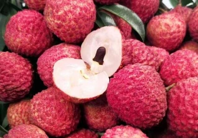 网络图片(侵删) 网络图片(侵删)