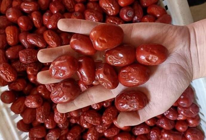 网络图片(侵删) 网络图片(侵删)