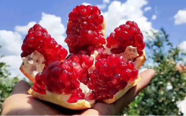 网络图片(侵删) 网络图片(侵删)