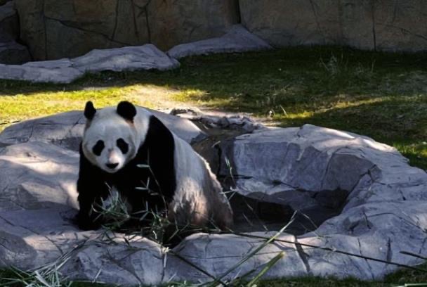 网络图片(侵删) 网络图片(侵删)