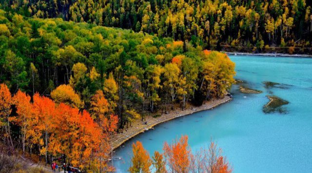 网络图片(侵删) 网络图片(侵删)