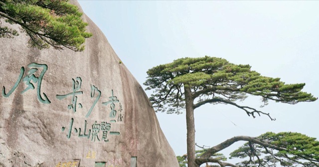 网络图片(侵删) 网络图片(侵删)