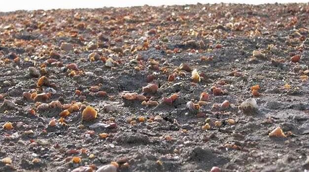 网络图片(侵删) 网络图片(侵删)