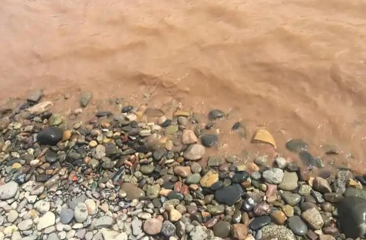 网络图片(侵删) 网络图片(侵删)