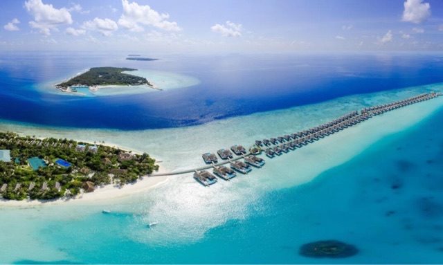 网络图片(侵删) 网络图片(侵删)