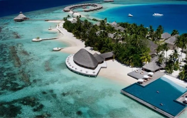 网络图片(侵删) 网络图片(侵删)