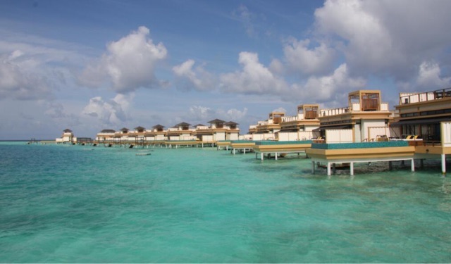 网络图片(侵删) 网络图片(侵删)