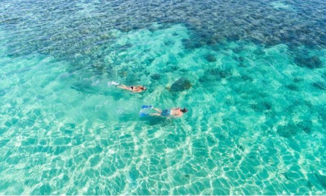 网络图片(侵删) 网络图片(侵删)