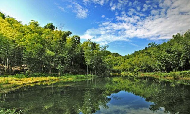 网络图片(侵删) 网络图片(侵删)
