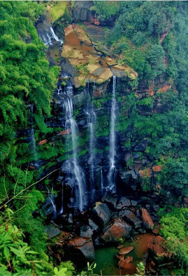 网络图片(侵删) 网络图片(侵删)