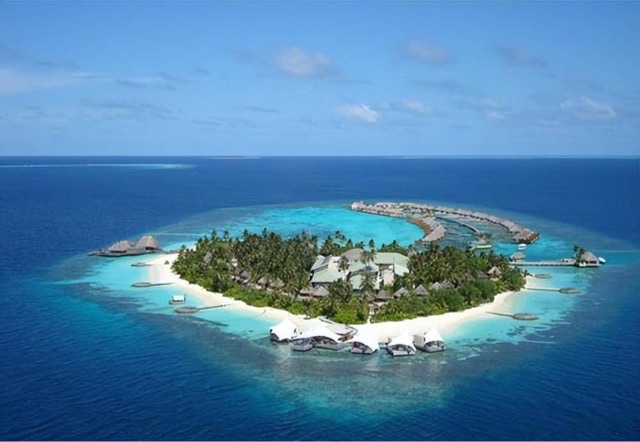 网络图片(侵删) 网络图片(侵删)