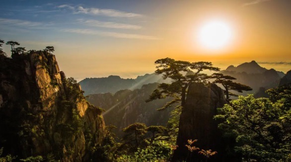 网络图片(侵删) 网络图片(侵删)