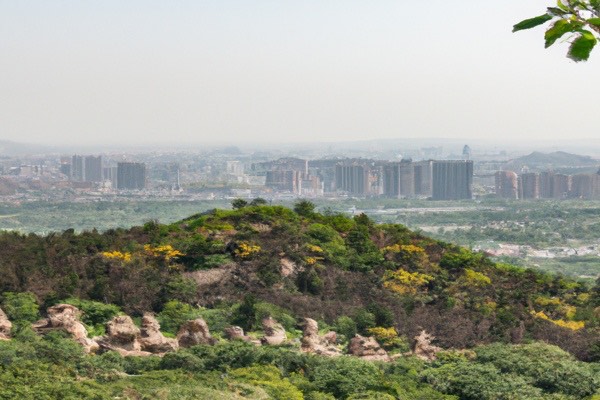 网络图片(侵删) 网络图片(侵删)