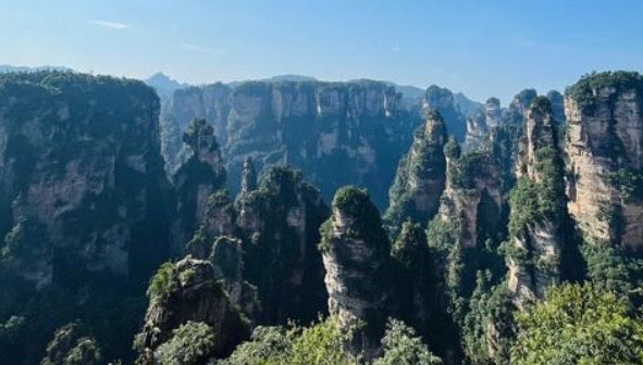 网络图片(侵删) 网络图片(侵删)