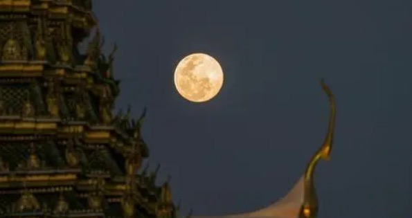 网络配图 网络配图