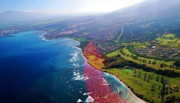 网络配图 网络配图