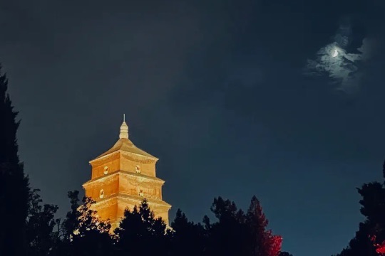 网络配图 网络配图