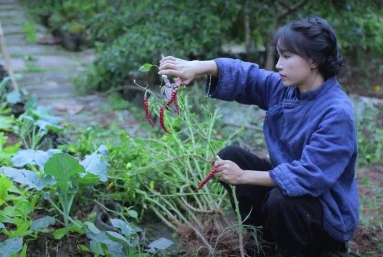 网络图片(侵删) 网络图片(侵删)