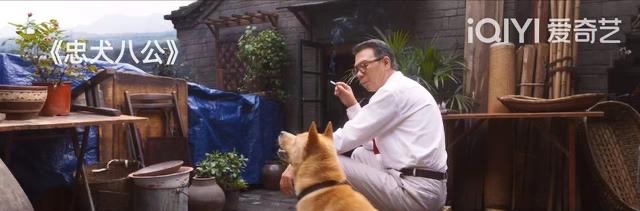 网络图片(侵删) 网络图片(侵删)