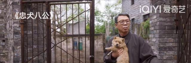 网络图片(侵删) 网络图片(侵删)