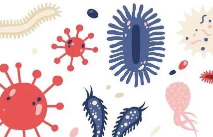 网络配图 网络配图