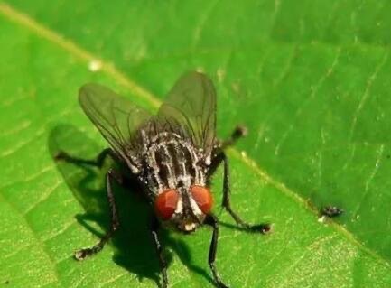 网络配图 网络配图