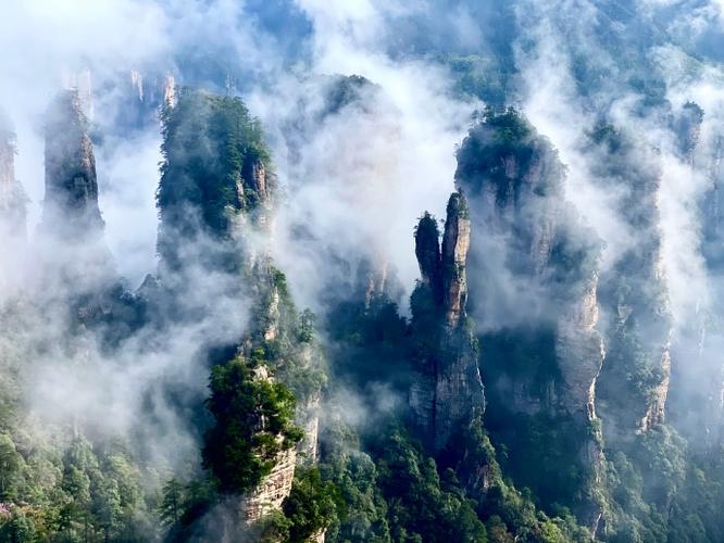 网络配图 网络配图