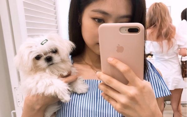网络配图 网络配图
