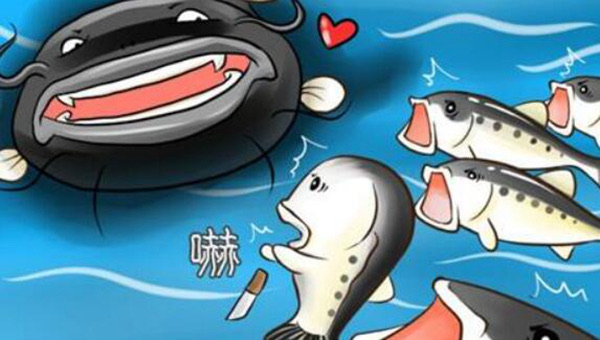 网络配图 网络配图